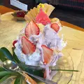 いちょうの木の写真_130848