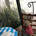 ピーターラビットガーデンカフェ 自由が丘本店の写真_130995