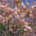 都立浮間公園の写真_131013