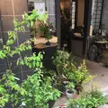 野の花 司の写真_131045
