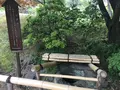 小石川後楽園の写真_131130