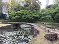 小石川後楽園の写真_131131
