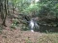 小石川後楽園の写真_131132