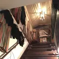 高円寺南３丁目２１−１９の写真_131295
