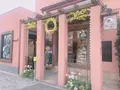 ビスキュイの写真_131353