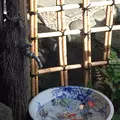 古桑庵の写真_131475