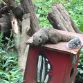 町田リス園の写真_131490