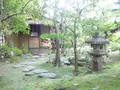 高桐院の写真_131510
