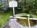 高桐院の写真_131512