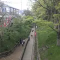 上田城の写真_131619