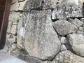 上田城の写真_131621