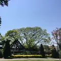 アメリカ山公園の写真_131948