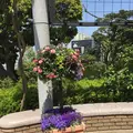 アメリカ山公園の写真_131949
