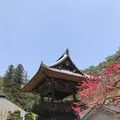 安楽寺の写真_131998