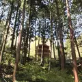 安楽寺の写真_132000
