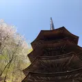 安楽寺の写真_132001