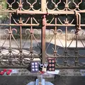 長谷寺の写真_132035