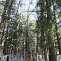 長谷寺の写真_132045