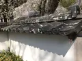 長谷寺の写真_132046