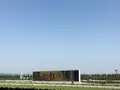 京都競馬場の写真_132199