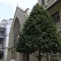 フロインドリーブの写真_132310
