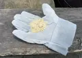 今も大人気のリス村の写真_132465