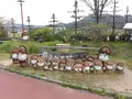 信楽陶芸村の写真_132481
