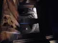甲賀流忍術屋敷の写真_132492