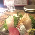 魚屋さんじゅうまるの写真_132593
