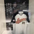 墨田区総合体育館の写真_132610