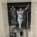 墨田区総合体育館の写真_132613