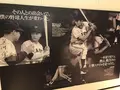 墨田区総合体育館の写真_132616