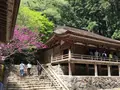 室生寺の写真_132652