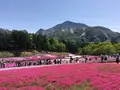羊山公園の写真_132871