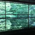 瑠璃光院の写真_132941