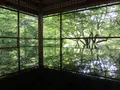 瑠璃光院の写真_132942