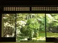 瑠璃光院の写真_132944
