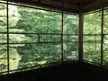 瑠璃光院の写真_132945