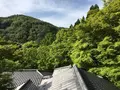 瑠璃光院の写真_132947