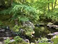 瑠璃光院の写真_132954