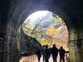 神戸岩の写真_133015
