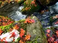 神戸岩の写真_133019