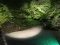 圓徳院の写真_133046
