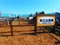 函館牛乳 あいす118の写真_133050