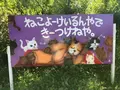 御誕生寺の写真_133068