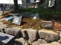 御誕生寺の写真_133071