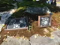 御誕生寺の写真_133072