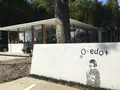 Oedo+の写真_133093