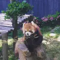 西山公園の写真_133125