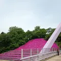 西山公園の写真_133126